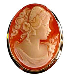 DiVinci Hand Carved Venus Cameo in a 14k Gold Pin-Pendant Frame